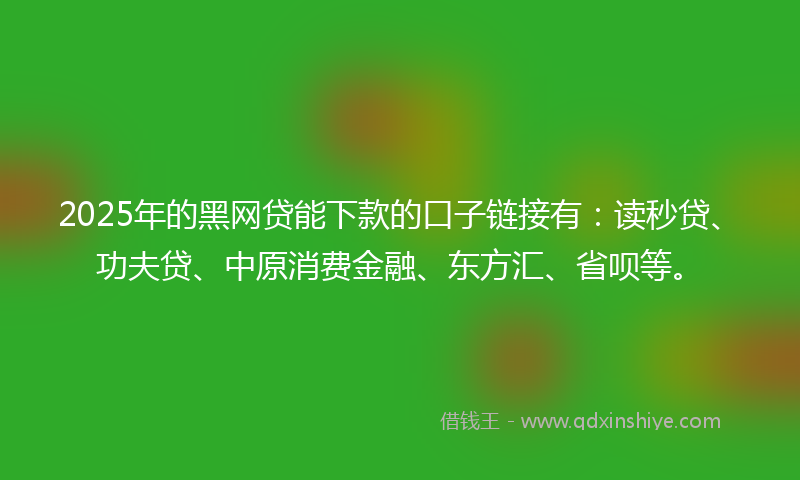 2025年的黑网贷能下款的口子链接有：读秒贷、功夫贷、中原消费金融、东方汇、省呗等。