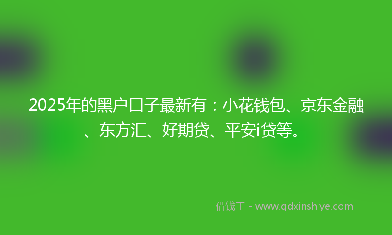 2025年的黑户口子最新有：小花钱包、京东金融、东方汇、好期贷、平安i贷等。