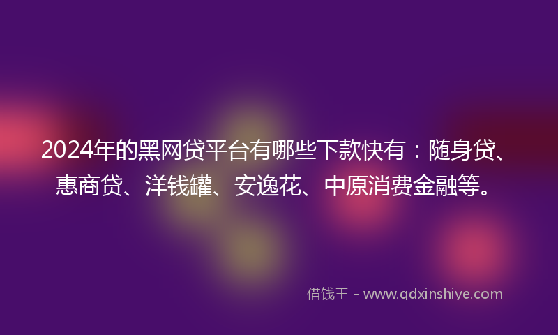 2024年的黑网贷平台有哪些下款快有：随身贷、惠商贷、洋钱罐、安逸花、中原消费金融等。