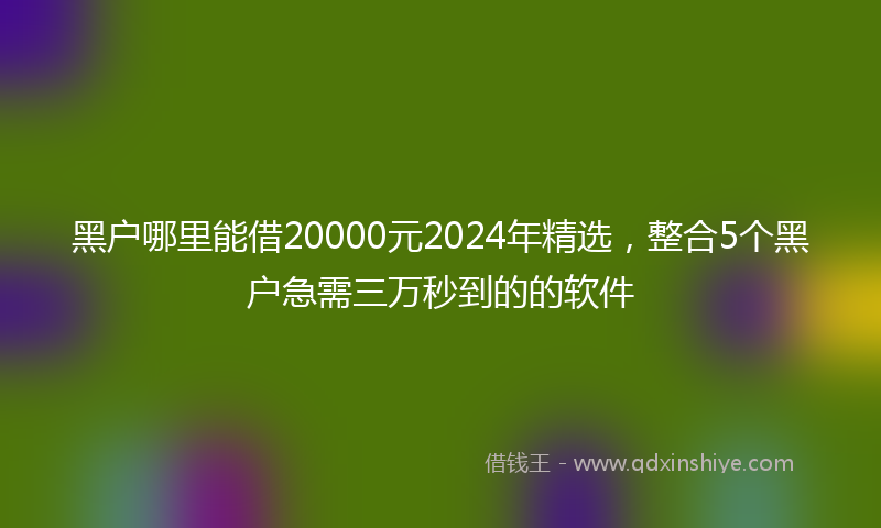 黑户哪里能借20000元2024年精选，整合5个黑户急需三万秒到的的软件