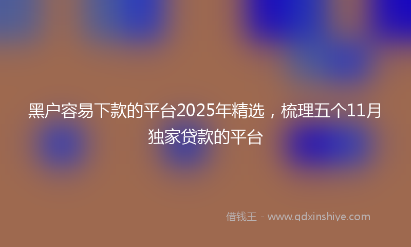 黑户容易下款的平台2025年精选，梳理五个11月独家贷款的平台
