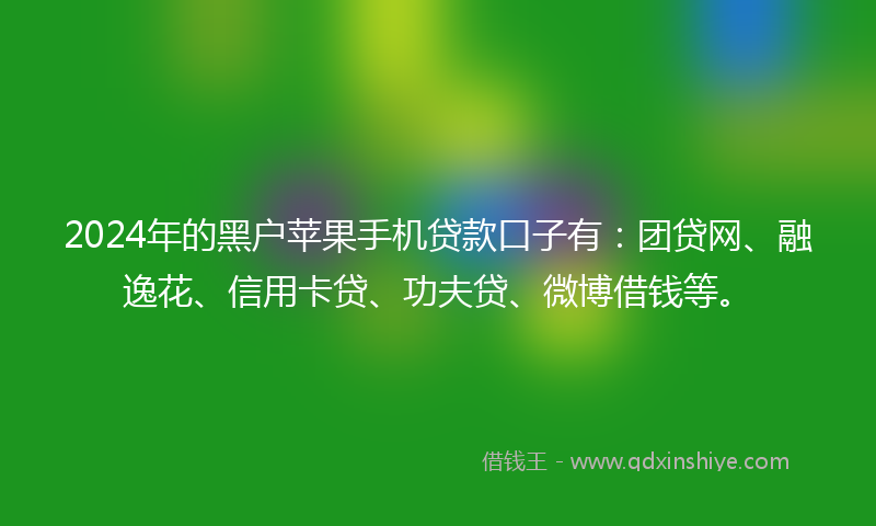 2024年的黑户苹果手机贷款口子有：团贷网、融逸花、信用卡贷、功夫贷、微博借钱等。