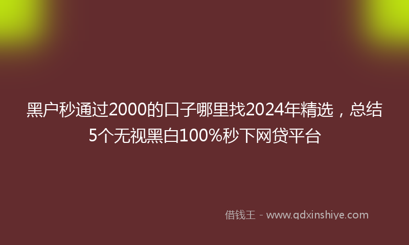 黑户秒通过2000的口子哪里找2024年精选，总结5个无视黑白100%秒下网贷平台