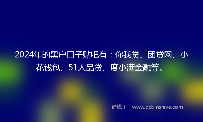 2024年的黑户口子贴吧有：你我贷、团贷网、小花钱包、51人品贷、度小满金融等。