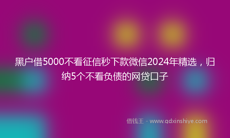 黑户借5000不看征信秒下款微信2024年精选，归纳5个不看负债的网贷口子