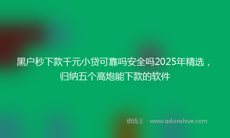 黑户秒下款千元小贷可靠吗安全吗2025年精选，归纳五个高炮能下款的软件