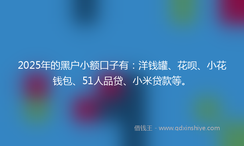 2025年的黑户小额口子有：洋钱罐、花呗、小花钱包、51人品贷、小米贷款等。