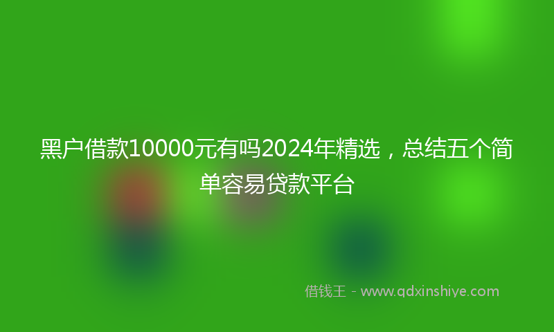 黑户借款10000元有吗2024年精选，总结五个简单容易贷款平台