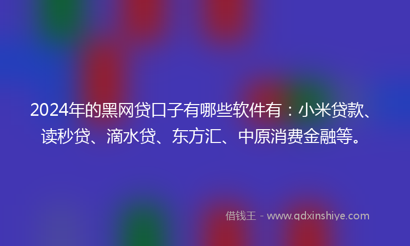2024年的黑网贷口子有哪些软件有：小米贷款、读秒贷、滴水贷、东方汇、中原消费金融等。