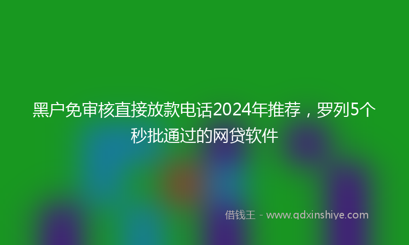 黑户免审核直接放款电话2024年推荐，罗列5个秒批通过的网贷软件