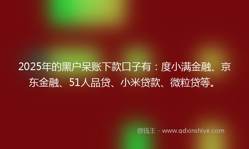 2025年的黑户呆账下款口子有：度小满金融、京东金融、51人品贷、小米贷款、微粒贷等。