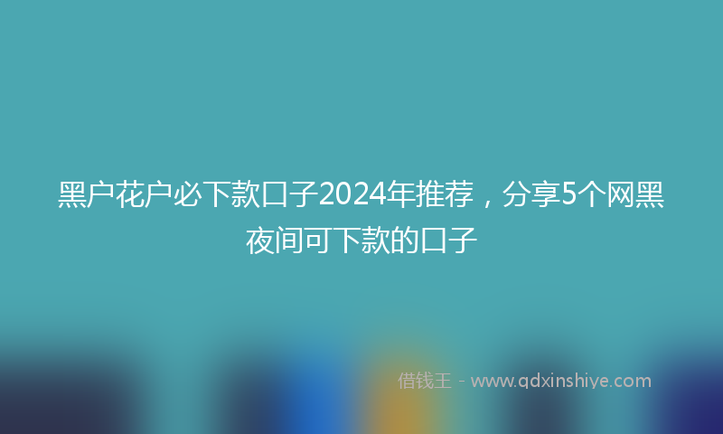 黑户花户必下款口子2024年推荐，分享5个网黑夜间可下款的口子