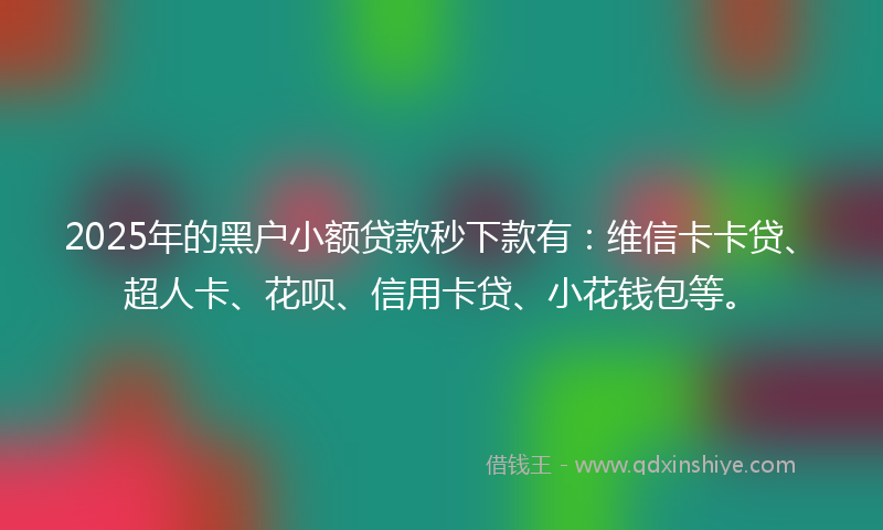2025年的黑户小额贷款秒下款有：维信卡卡贷、超人卡、花呗、信用卡贷、小花钱包等。