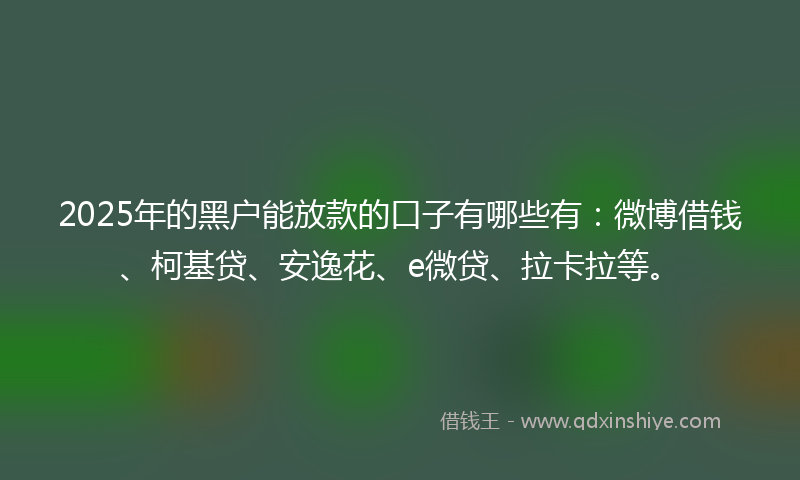2025年的黑户能放款的口子有哪些有：微博借钱、柯基贷、安逸花、e微贷、拉卡拉等。
