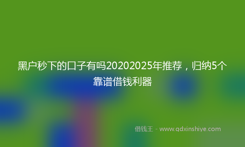 黑户秒下的口子有吗20202025年推荐，归纳5个靠谱借钱利器