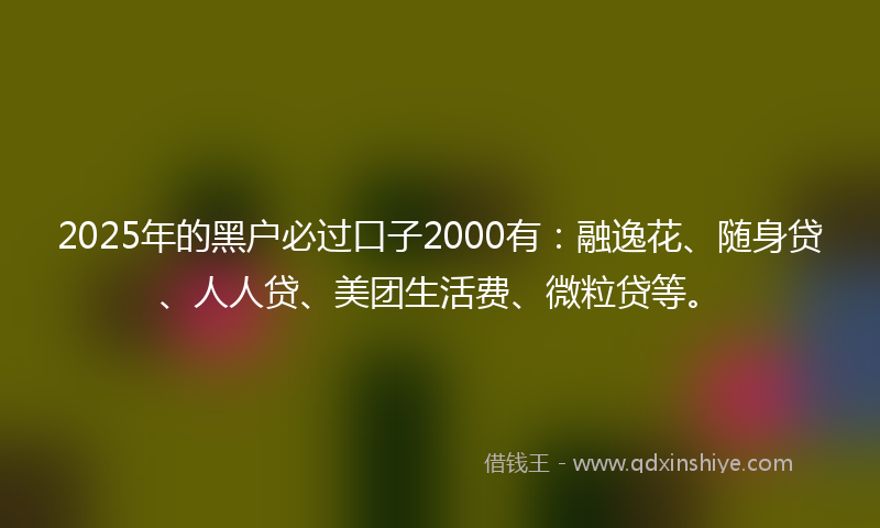 2025年的黑户必过口子2000有：融逸花、随身贷、人人贷、美团生活费、微粒贷等。