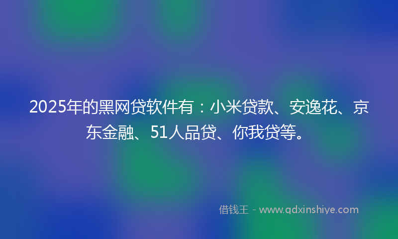 2025年的黑网贷软件有：小米贷款、安逸花、京东金融、51人品贷、你我贷等。