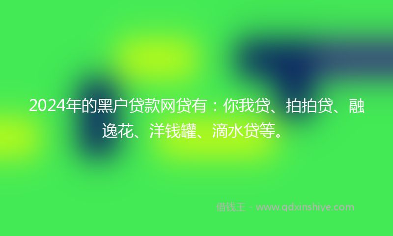 2024年的黑户贷款网贷有：你我贷、拍拍贷、融逸花、洋钱罐、滴水贷等。