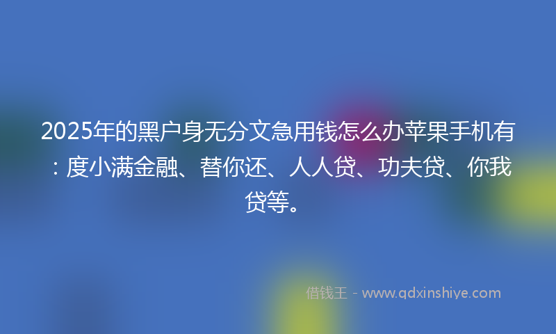 2025年的黑户身无分文急用钱怎么办苹果手机有：度小满金融、替你还、人人贷、功夫贷、你我贷等。