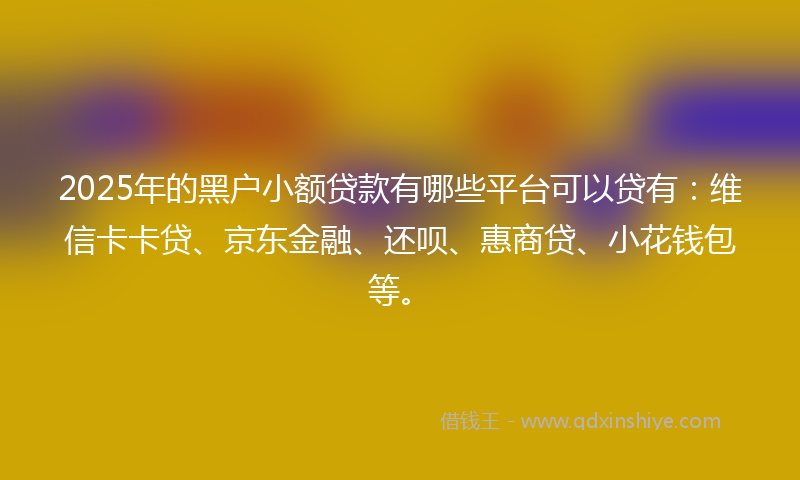 2025年的黑户小额贷款有哪些平台可以贷有：维信卡卡贷、京东金融、还呗、惠商贷、小花钱包等。