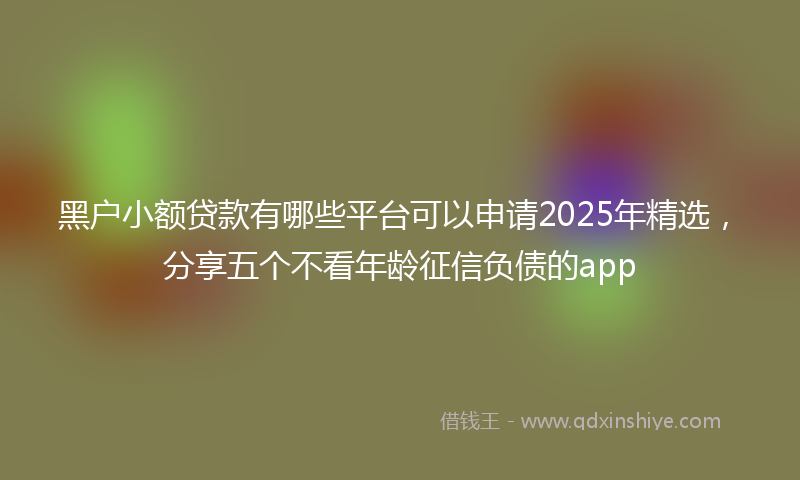 黑户小额贷款有哪些平台可以申请2025年精选，分享五个不看年龄征信负债的app