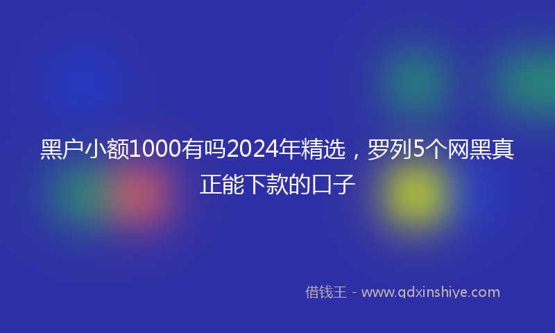 黑户小额1000有吗2024年精选，罗列5个网黑真正能下款的口子