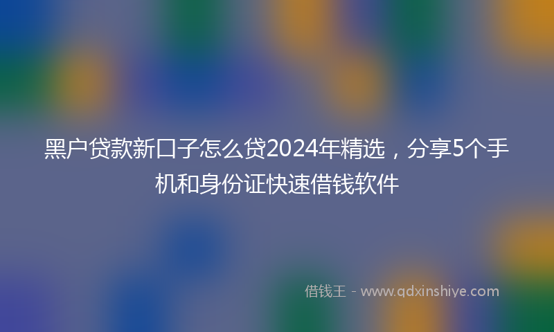 黑户贷款新口子怎么贷2024年精选，分享5个手机和身份证快速借钱软件