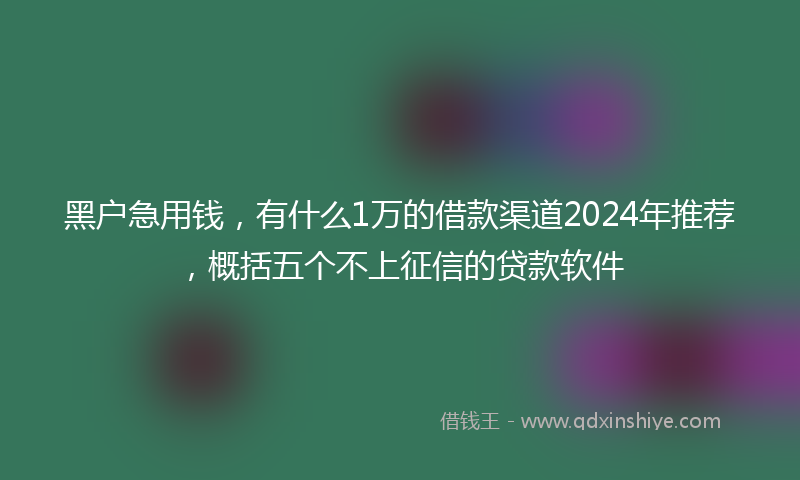 黑户急用钱，有什么1万的借款渠道2024年推荐，概括五个不上征信的贷款软件