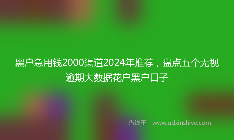 黑户急用钱2000渠道2024年推荐，盘点五个无视逾期大数据花户黑户口子