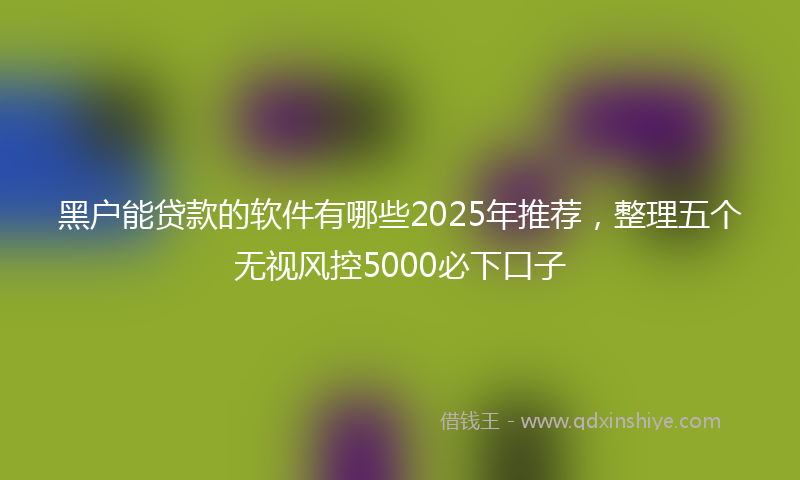 黑户能贷款的软件有哪些2025年推荐，整理五个无视风控5000必下口子