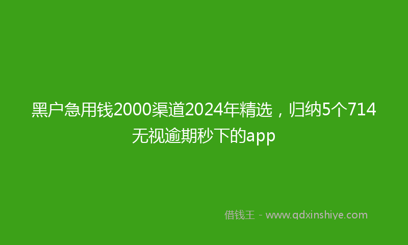 黑户急用钱2000渠道2024年精选，归纳5个714无视逾期秒下的app