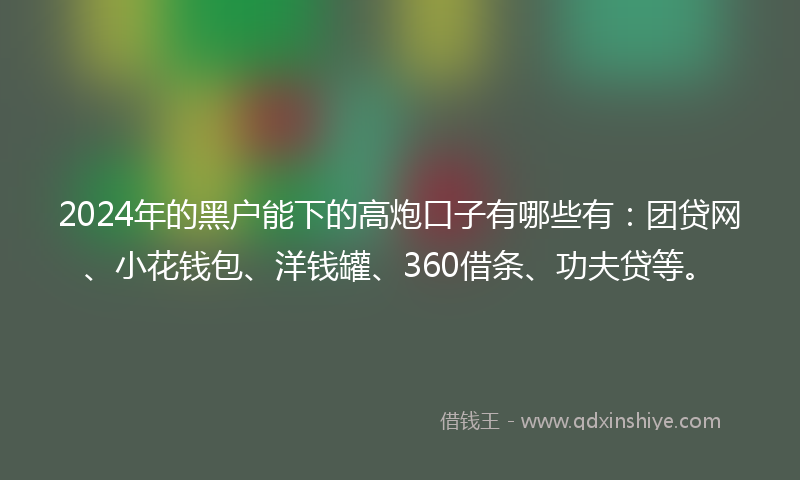 2024年的黑户能下的高炮口子有哪些有：团贷网、小花钱包、洋钱罐、360借条、功夫贷等。