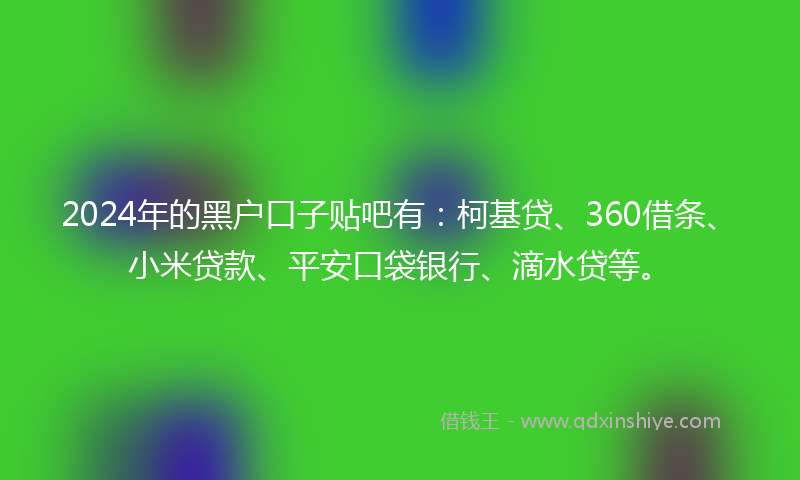 2024年的黑户口子贴吧有：柯基贷、360借条、小米贷款、平安口袋银行、滴水贷等。