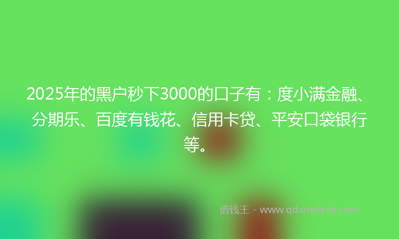 2025年的黑户秒下3000的口子有：度小满金融、分期乐、百度有钱花、信用卡贷、平安口袋银行等。