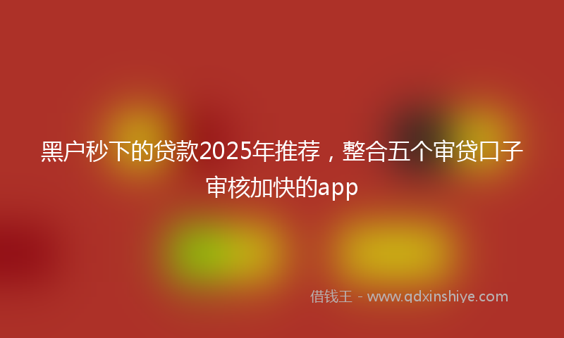 黑户秒下的贷款2025年推荐，整合五个审贷口子审核加快的app