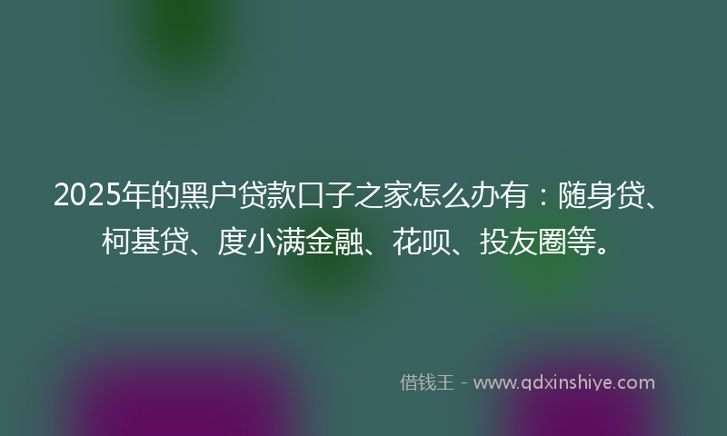 2025年的黑户贷款口子之家怎么办有：随身贷、柯基贷、度小满金融、花呗、投友圈等。