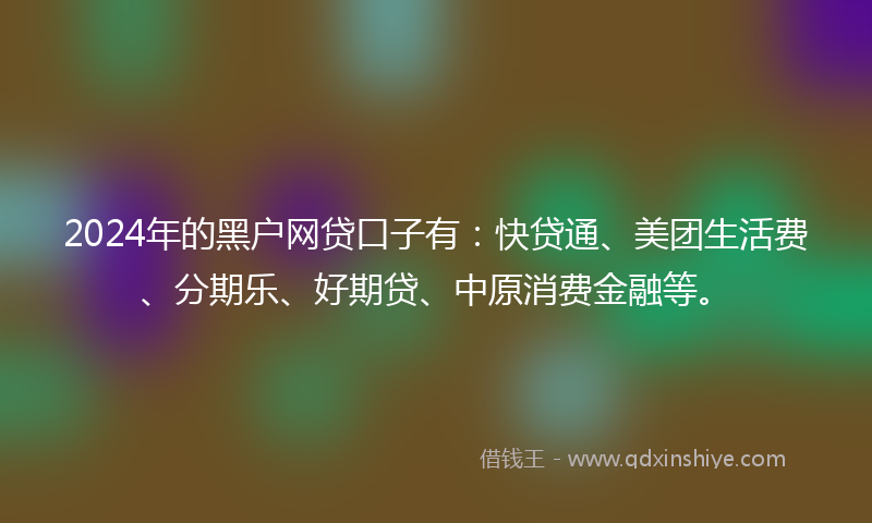 2024年的黑户网贷口子有：快贷通、美团生活费、分期乐、好期贷、中原消费金融等。