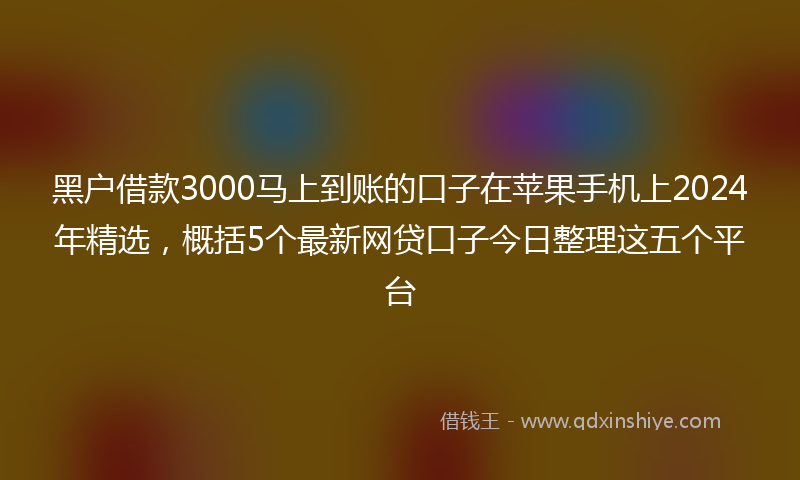 黑户借款3000马上到账的口子在苹果手机上2024年精选，概括5个最新网贷口子今日整理这五个平台