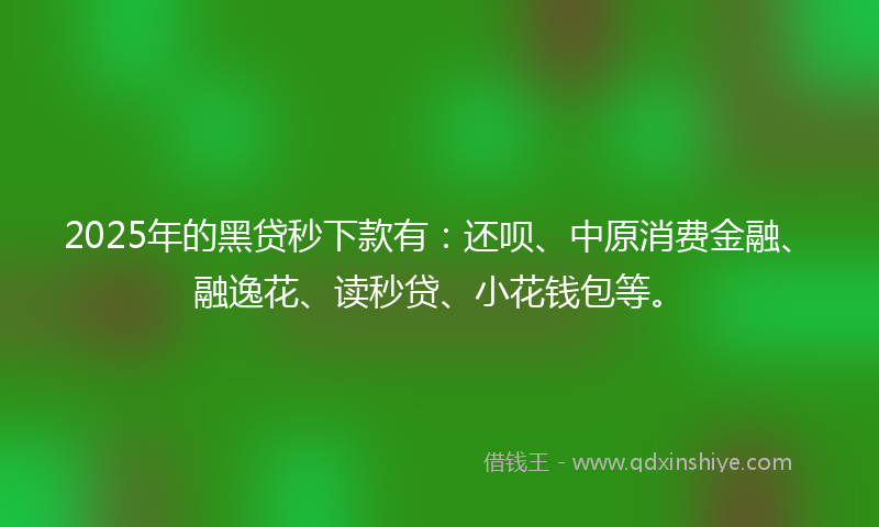 2025年的黑贷秒下款有：还呗、中原消费金融、融逸花、读秒贷、小花钱包等。