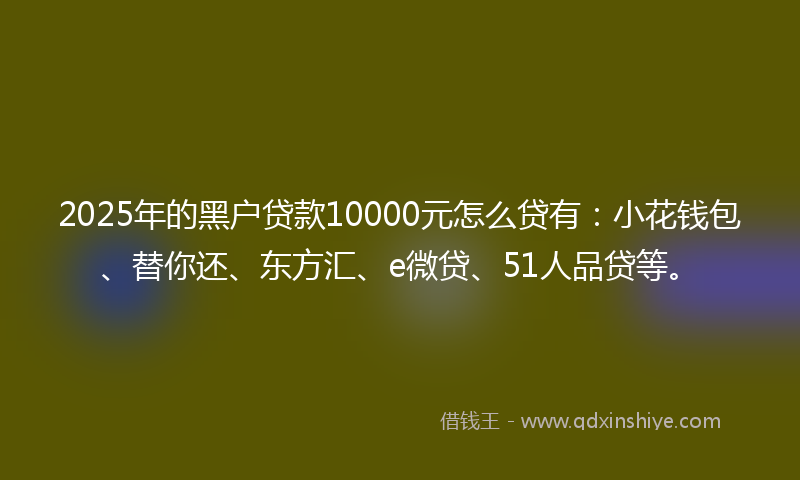 2025年的黑户贷款10000元怎么贷有：小花钱包、替你还、东方汇、e微贷、51人品贷等。