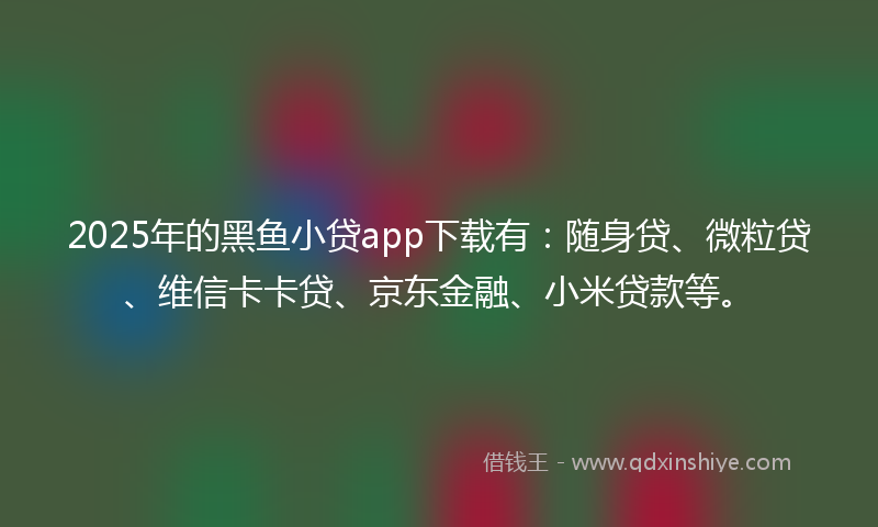 2025年的黑鱼小贷app下载有：随身贷、微粒贷、维信卡卡贷、京东金融、小米贷款等。
