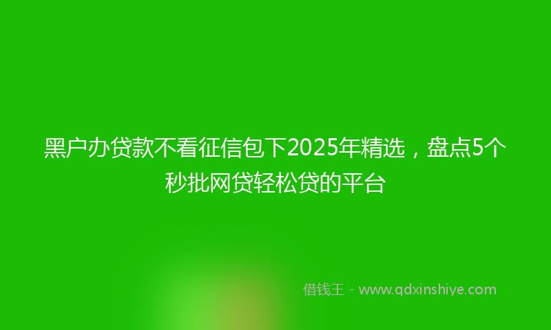 黑户办贷款不看征信包下2025年精选，盘点5个秒批网贷轻松贷的平台