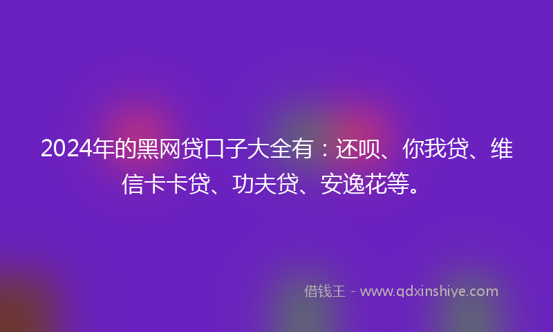 2024年的黑网贷口子大全有：还呗、你我贷、维信卡卡贷、功夫贷、安逸花等。