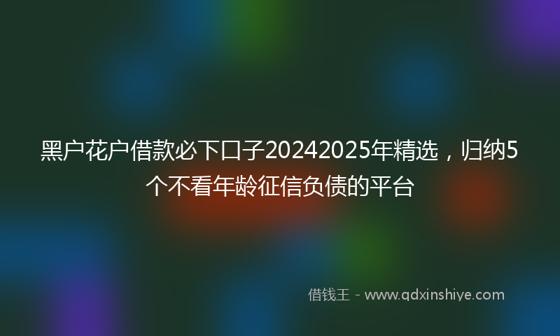 黑户花户借款必下口子20242025年精选，归纳5个不看年龄征信负债的平台