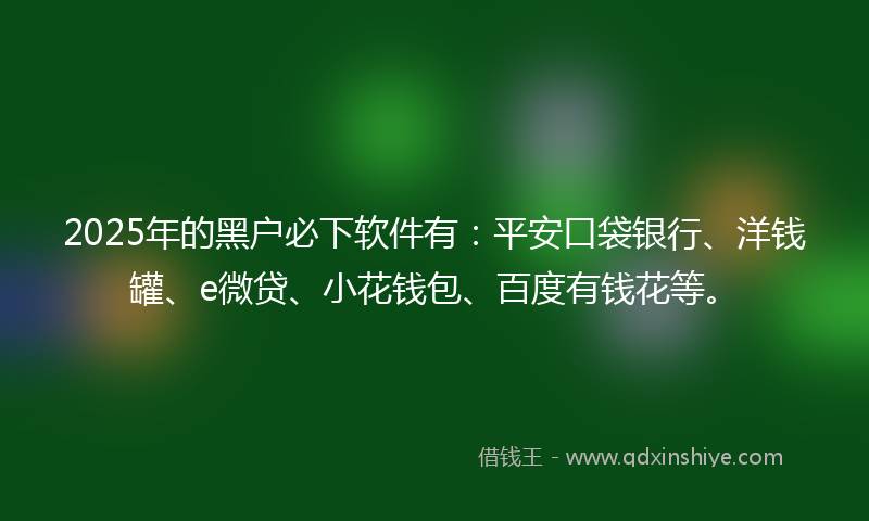 2025年的黑户必下软件有：平安口袋银行、洋钱罐、e微贷、小花钱包、百度有钱花等。