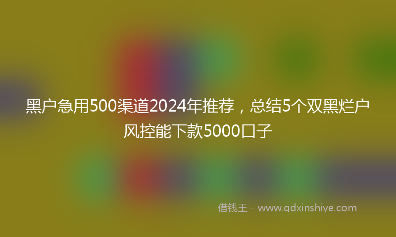 黑户急用500渠道2024年推荐，总结5个双黑烂户风控能下款5000口子
