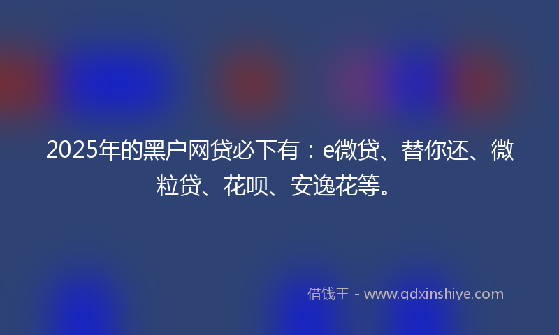 2025年的黑户网贷必下有：e微贷、替你还、微粒贷、花呗、安逸花等。