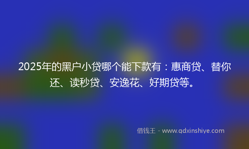 2025年的黑户小贷哪个能下款有：惠商贷、替你还、读秒贷、安逸花、好期贷等。