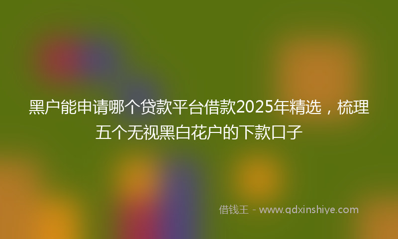黑户能申请哪个贷款平台借款2025年精选，梳理五个无视黑白花户的下款口子