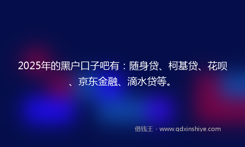 2025年的黑户口子吧有：随身贷、柯基贷、花呗、京东金融、滴水贷等。